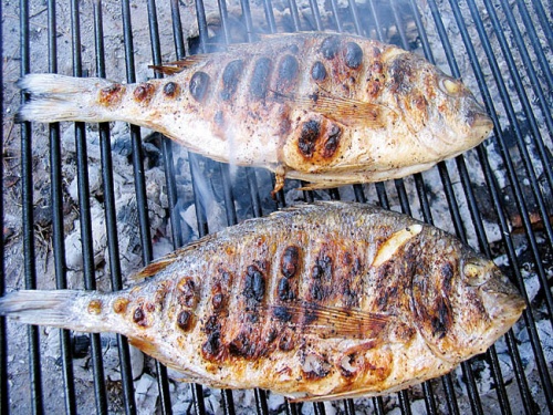 Homemade grilled fish